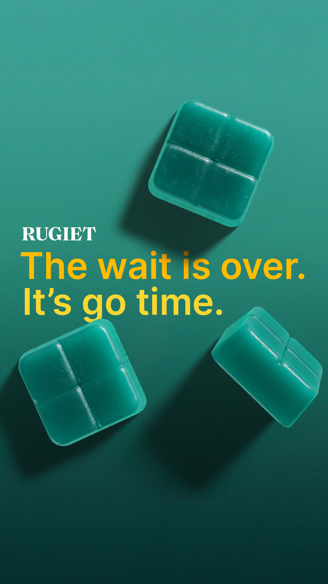 Rugiet, the wait is over